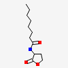 N-(2-OXOTETRAHYDROFURAN-3-YL)OCTANAMIDE