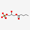 (2R)-2-hydroxy-3-(phosphonooxy)propyl tetradecanoate