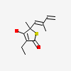 (5R)-3-ethyl-4-hydroxy-5-methyl-5-[(1E)-2-methylbuta-1,3-dien-1-yl]thiophen-2(5H)-one