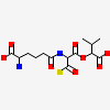N6-[(1S)-2-{[(1R)-1-CARBOXY-2-METHYLPROPYL]OXY}-1-(MERCAPTOCARBONYL)-2-OXOETHYL]-6-OXO-L-LYSINE