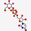 URIDINE-5'-DIPHOSPHATE-2-DEOXY-2-FLUORO-ALPHA-D-GLUCOSE