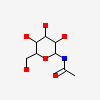 N-acetyl-beta-D-glucopyranosylamine
