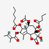an image of a chemical structure CID 101692870
