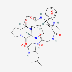 	Heterophyllin B