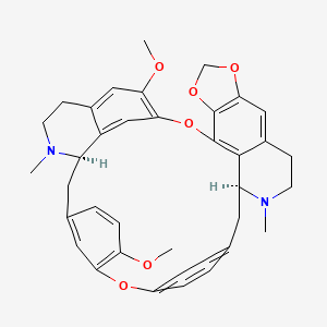 2D-img