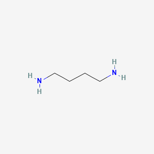 1,4-Diaminobutane