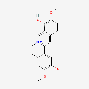 	Palmatrubine