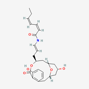 2D-img