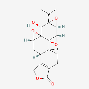 2D-img