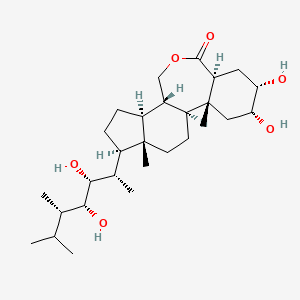 2D-img