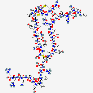 2D-img