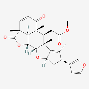 2D-img