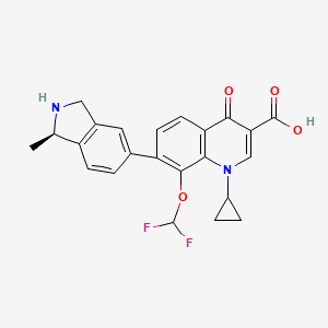 	Garenoxacin