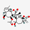 an image of a chemical structure CID 124775955