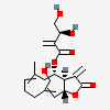 an image of a chemical structure CID 124918570