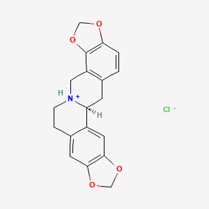 Stylopine hydrochloride