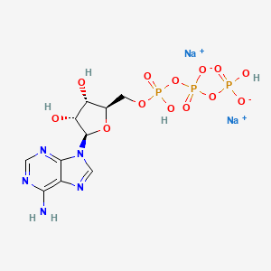 	ATP (Adenosine-Triphosphate)