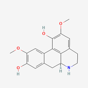 	Norisoboldine