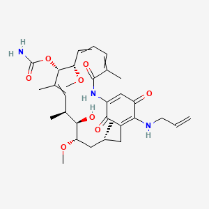 Tanespimycin (17-AAG)