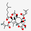 an image of a chemical structure CID 153317021