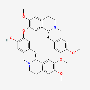 2D-img