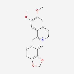 	Epiberberine