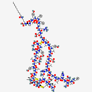 2D-img