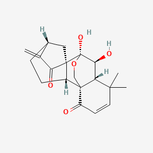 2D-img