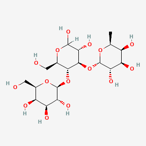 Lacticaseibacillus rhamnosus - Wikipedia