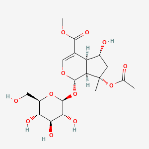 	8-O-Acetyl shanzhiside methyl ester