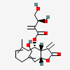 an image of a chemical structure CID 162937819