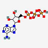 an image of a chemical structure CID 164157836
