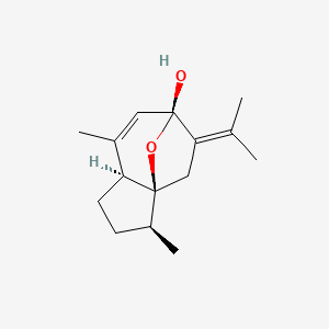 2D-img