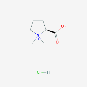 	Stachydrine hydrochloride