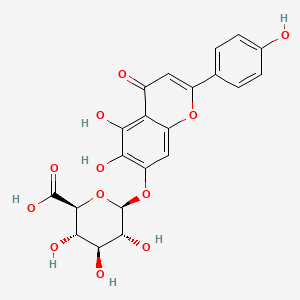 2D-img