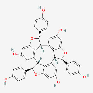 2D-img