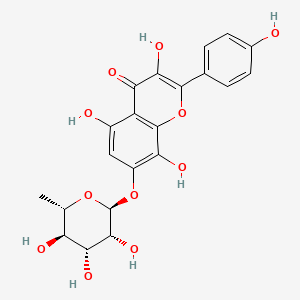 	Rhodionin；Herbacetin 7-O-α-rhamnopyranoside