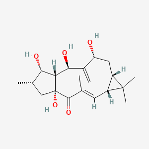 	7beta-Hydroxylathyrol