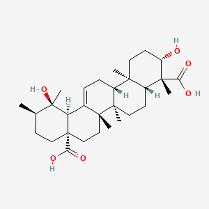 2D-img