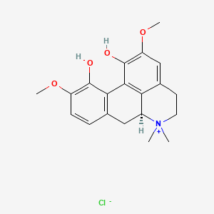 Magnoflorine chloride