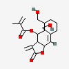an image of a chemical structure CID 23271906