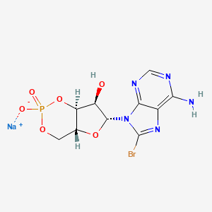 8-Bromo-cAMP