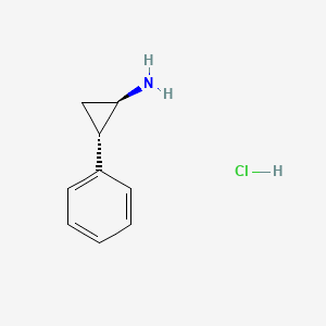 	Tranylcypromine HCl