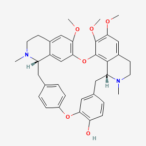 2D-img