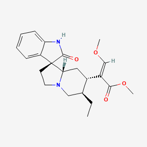 	Isorhychophylline