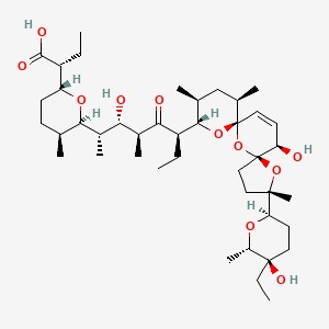 2D-img