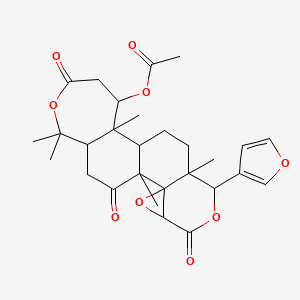 Linn KIKO DSM Champagne リン キコ seven-health.com