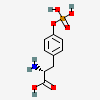 an image of a chemical structure CID 40520294