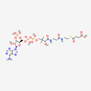 Αποτέλεσμα εικόνας για succinyl CoA chemical form