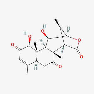 2D-img